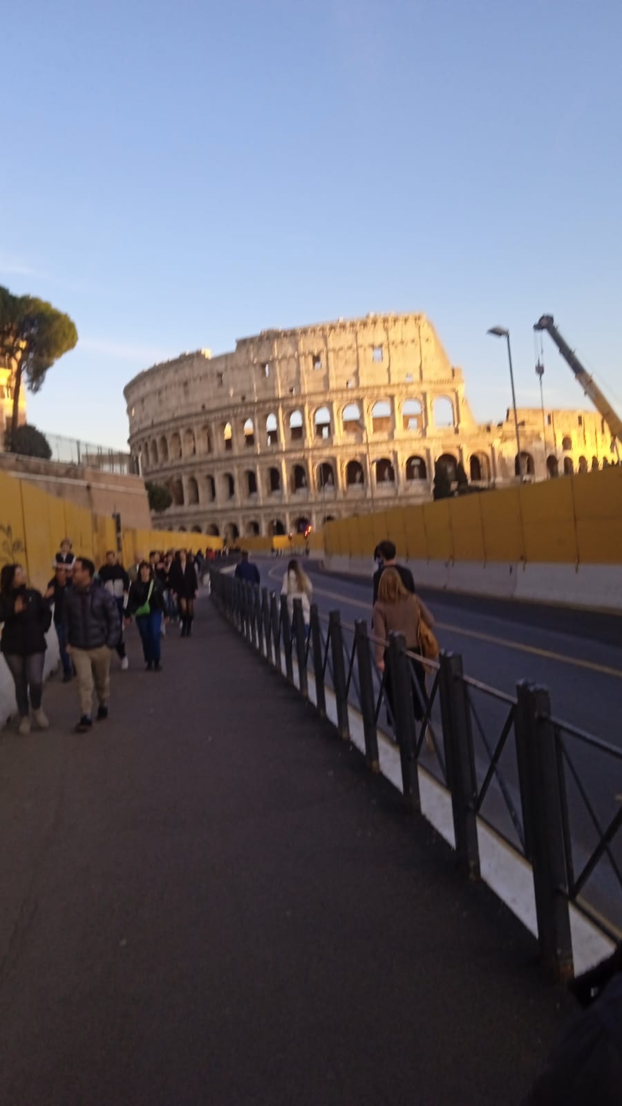 AVELLA. Agricoltori Italiani Protestano al Circo Massimo. Avella ben rappresentata. Le foto AVELLA. Agricoltori Italiani Protestano al Circo Massimo. Avella ben rappresentata. Le foto