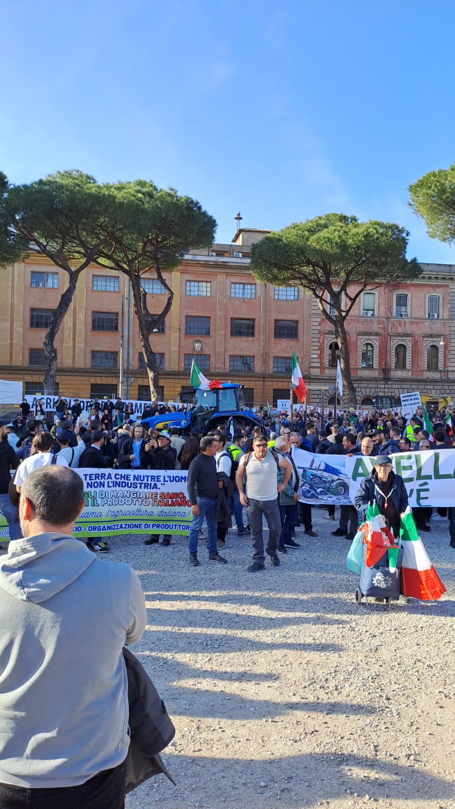 AVELLA. Agricoltori Italiani Protestano al Circo Massimo. Avella ben rappresentata. Le foto AVELLA. Agricoltori Italiani Protestano al Circo Massimo. Avella ben rappresentata. Le foto