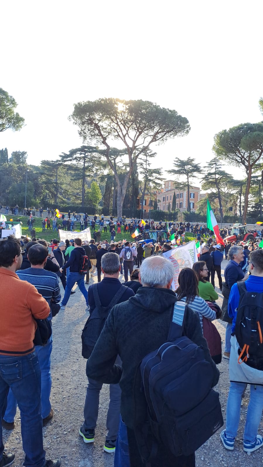 AVELLA. Agricoltori Italiani Protestano al Circo Massimo. Avella ben rappresentata. Le foto AVELLA. Agricoltori Italiani Protestano al Circo Massimo. Avella ben rappresentata. Le foto