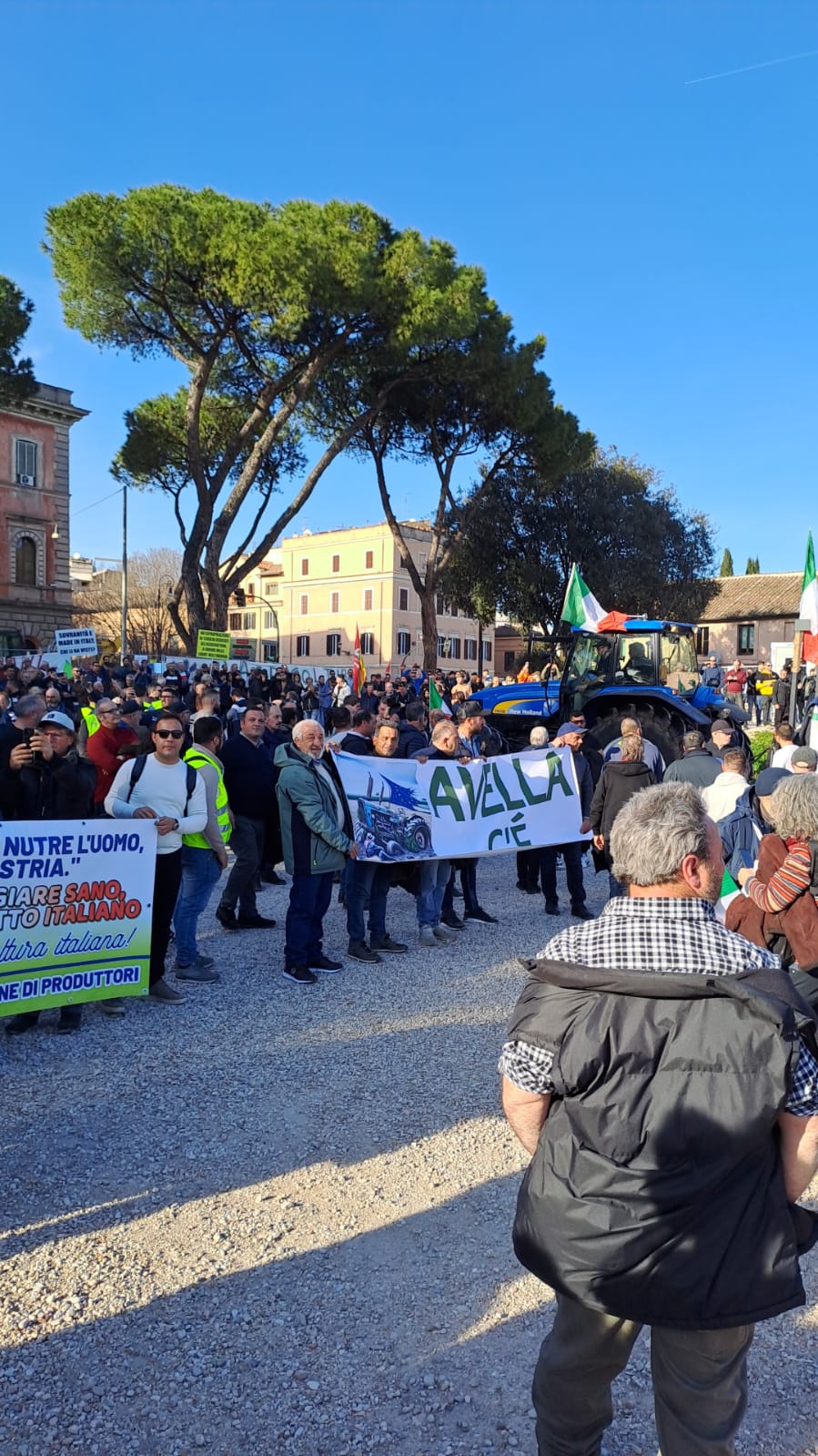 AVELLA. Agricoltori Italiani Protestano al Circo Massimo. Avella ben rappresentata. Le foto AVELLA. Agricoltori Italiani Protestano al Circo Massimo. Avella ben rappresentata. Le foto