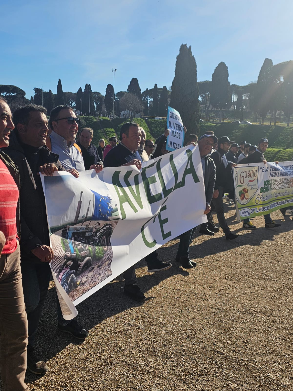 AVELLA. Agricoltori Italiani Protestano al Circo Massimo. Avella ben rappresentata. Le foto AVELLA. Agricoltori Italiani Protestano al Circo Massimo. Avella ben rappresentata. Le foto