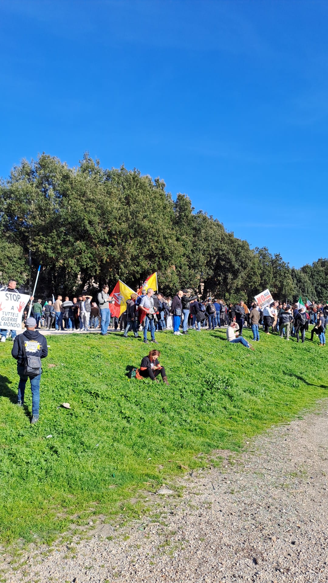 AVELLA. Agricoltori Italiani Protestano al Circo Massimo. Avella ben rappresentata. Le foto AVELLA. Agricoltori Italiani Protestano al Circo Massimo. Avella ben rappresentata. Le foto