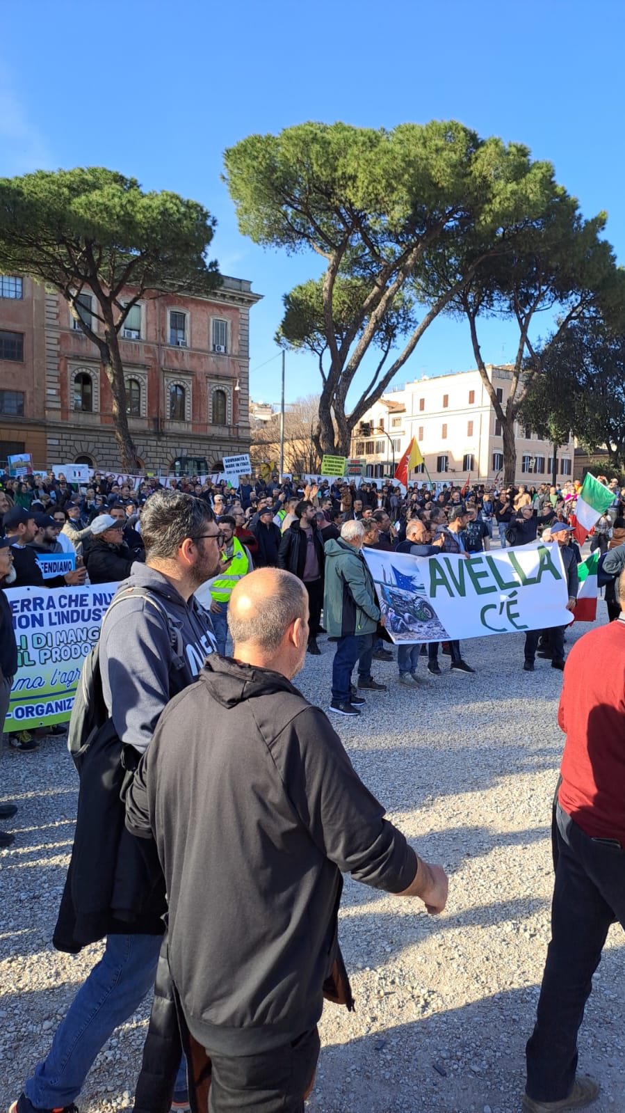 AVELLA. Agricoltori Italiani Protestano al Circo Massimo. Avella ben rappresentata. Le foto AVELLA. Agricoltori Italiani Protestano al Circo Massimo. Avella ben rappresentata. Le foto