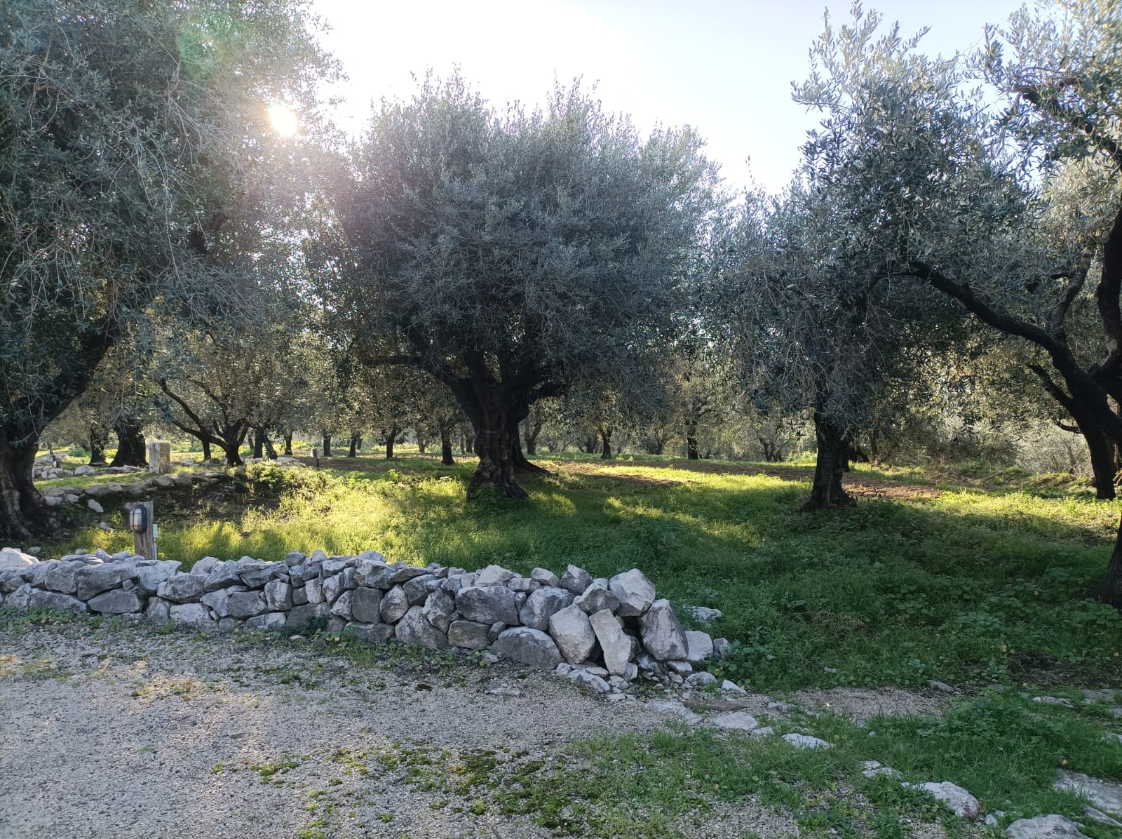 NOLA. Tornano le Giornate Fai di Primavera. NOLA. Tornano le Giornate Fai di Primavera.
