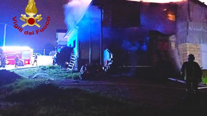 Immagine WhatsApp 2024-03-19 ore 09.45.16_edf35f64