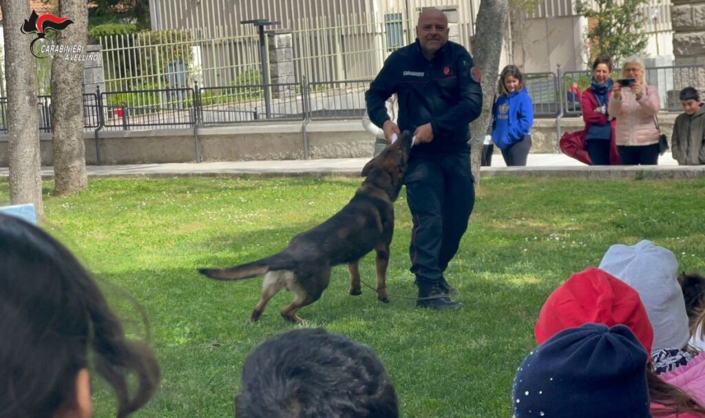 Lacedonia (AV): “neo” il cane carabiniere protagonista di una giornata con gli studenti dell’Istituto Comprensivo “F. De Sanctis”