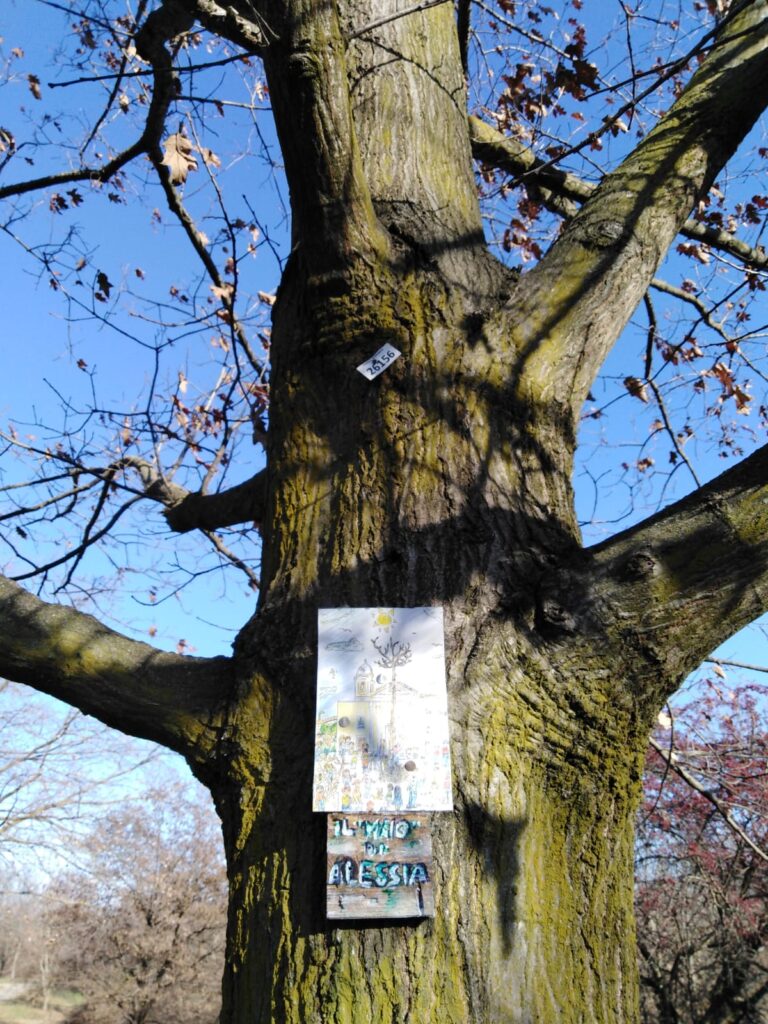 Nel Parco Pubblico Enzo Ferrari svetta il Maio di Alessia  in ricordo della giovanissima artista volata in cielo nell’aprile del 2010