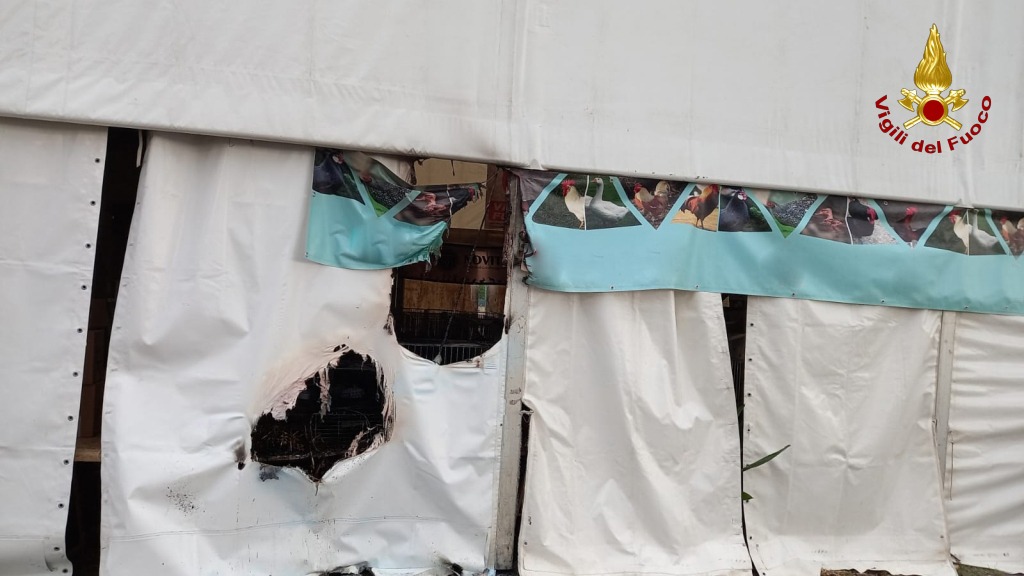 VENTICANO. Principio dincendio alla Fiera. Ciarcia: Pronto intervento ha circoscritto episodio VENTICANO. Principio dincendio alla Fiera. Ciarcia: Pronto intervento ha circoscritto episodio