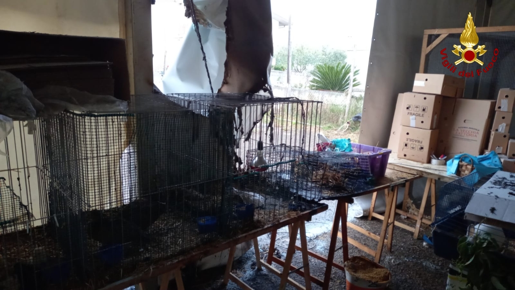 VENTICANO. Principio dincendio alla Fiera. Ciarcia: Pronto intervento ha circoscritto episodio VENTICANO. Principio dincendio alla Fiera. Ciarcia: Pronto intervento ha circoscritto episodio