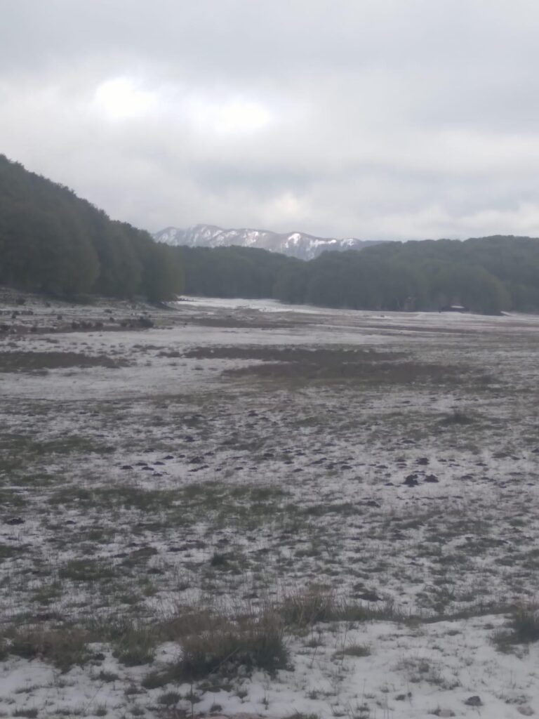 Ponti di Primavera, associazioni impegnate nella difesa del Parco del Partenio contro aggressioni ambientali