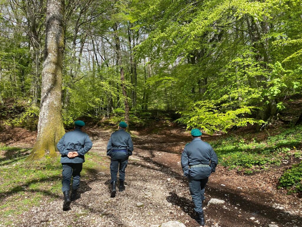 Ponti di Primavera, associazioni impegnate nella difesa del Parco del Partenio contro aggressioni ambientali