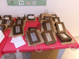 Sirignano. Mai d’Argento   2024, spigolando tra le motivazioni premiali. A Palazzo Caravita, la splendida ribalta dei filmati  green creativi . Dal racconto con la tecnica kamishibai alle maschere parlanti