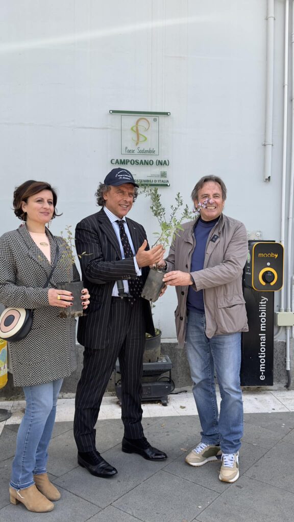 Conclusioni Positive per il Programma SOSTENIBILE ME 2024: 145 Alberi e Arbusti Piantumati per un Futuro più Verde