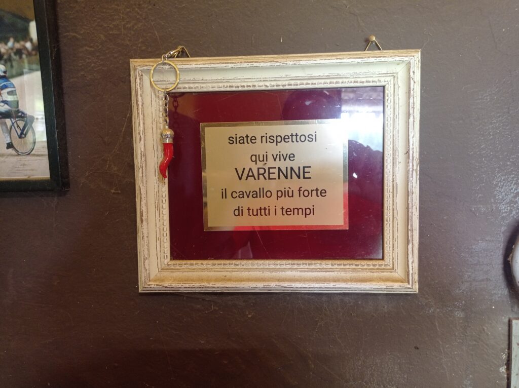 Il Campione del Mondo di Arti Marziali Bruno Danovaro in Irpinia: Salva un Cavallo Intrappolato