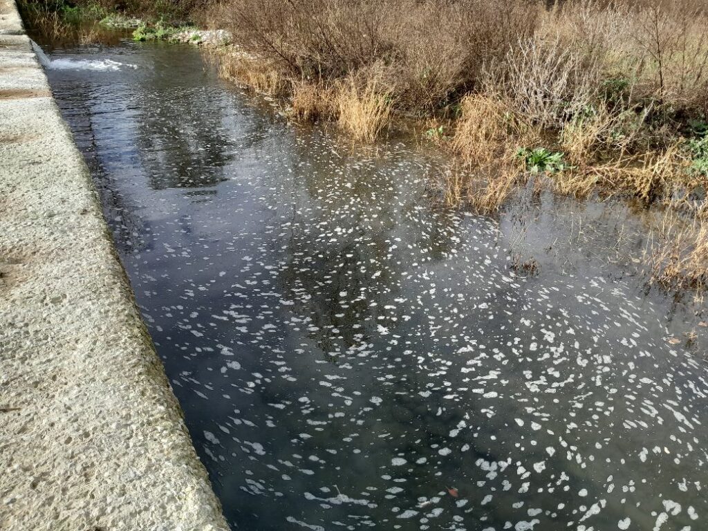 Particelle di materiale bianco galleggiano nel fiume Ufita.