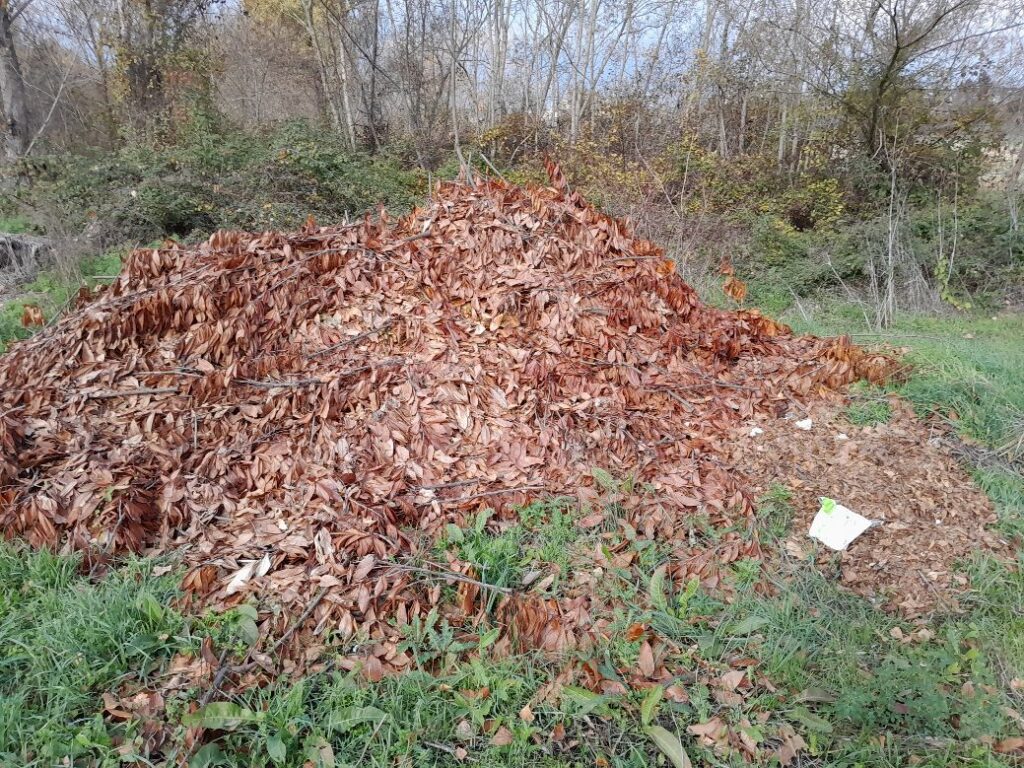 Particelle di materiale bianco galleggiano nel fiume Ufita.