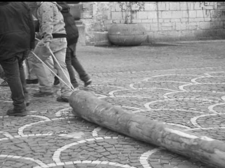 Sirignano e la Festa del Maio: un antico rito arboreo che unisce fede e tradizione Sirignano e la Festa del Maio: un antico rito arboreo che unisce fede e tradizione