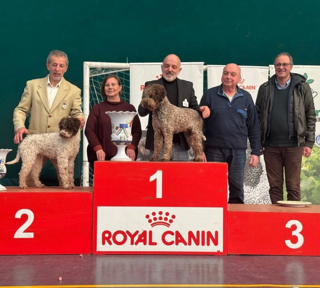 Altavilla Irpina capitale del Lagotto Romagnolo.