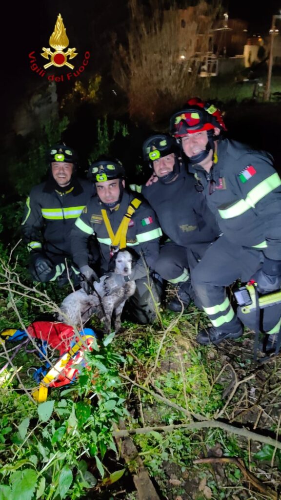 Salvataggio di un cane a Salza Irpina: intervento dei Vigili del Fuoco di Avellino Salvataggio di un cane a Salza Irpina: intervento dei Vigili del Fuoco di Avellino