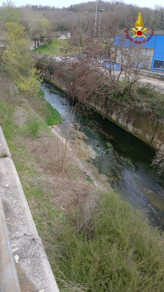 Salvato cane intrappolato in canale a Pratola Serra: Vigili del Fuoco in azione con tecniche SAF Salvato cane intrappolato in canale a Pratola Serra: Vigili del Fuoco in azione con tecniche SAF
