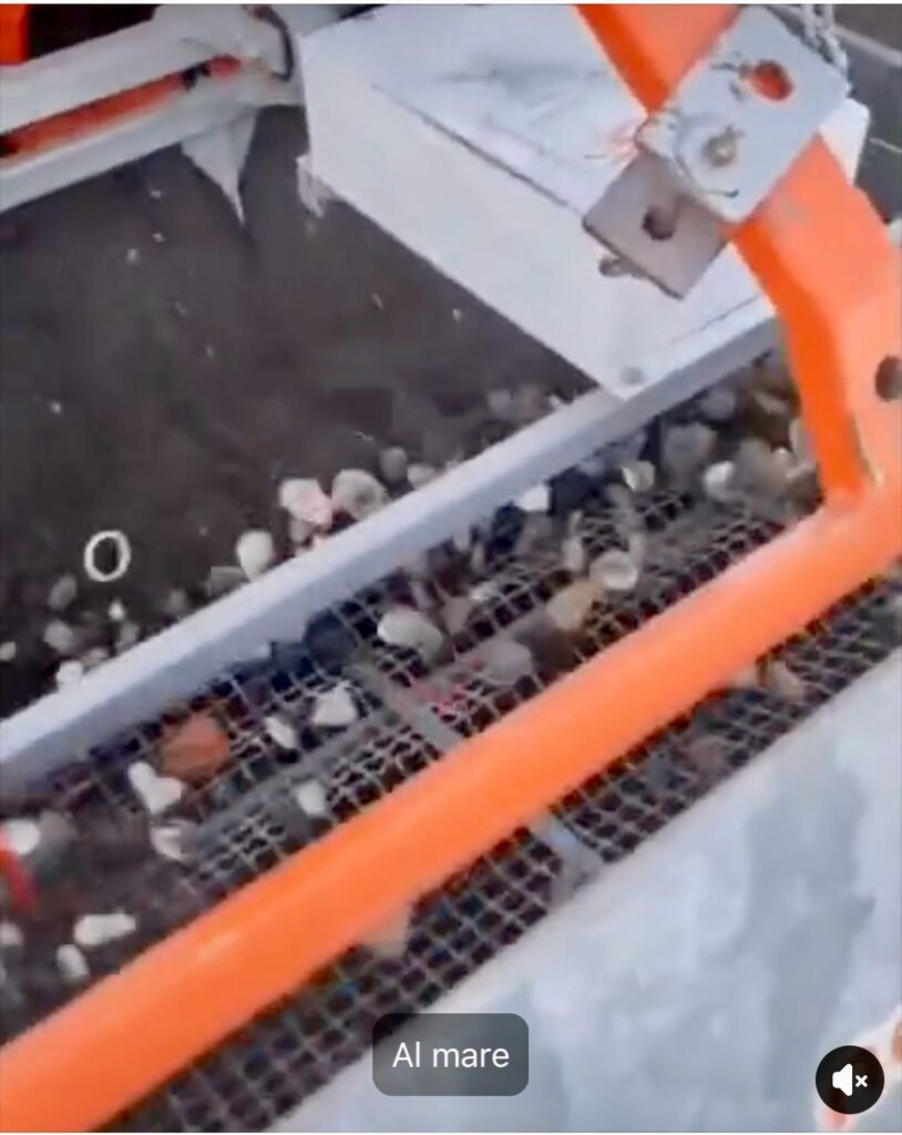 Estate 2025, Portici si prepara alla stagione balneare: il sindaco Cuomo annuncia servizi e novità