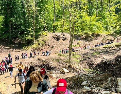 01E4E0D3-2995-4919-A808-16DA5C671B5A