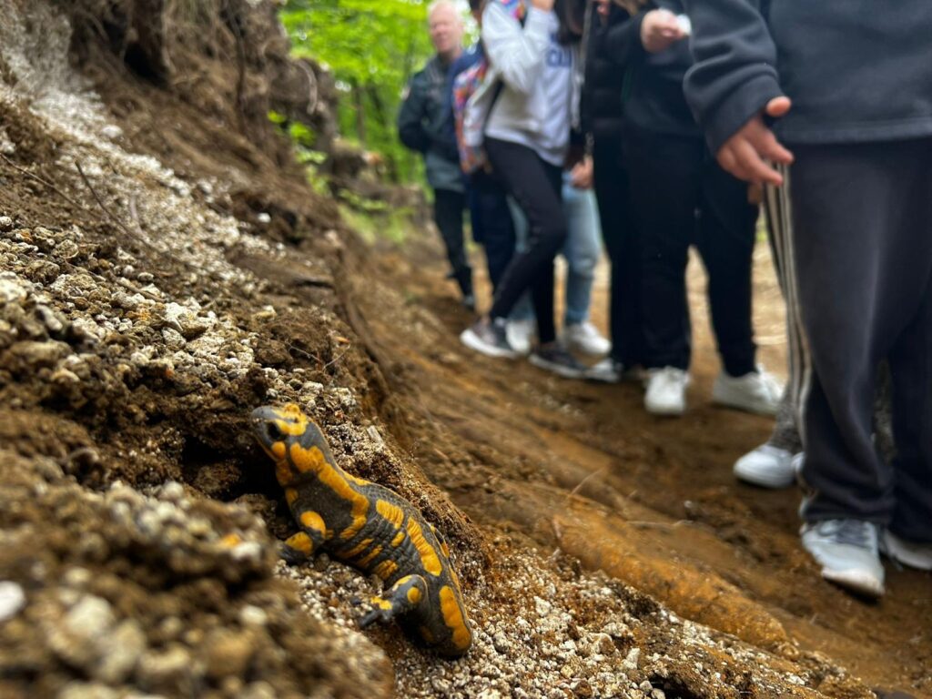 Mugnano   Gli studenti dell IC Manzoni hanno visitato Acqua Fidia in collaborazione con la Comunità Montana del Partenio   Vallo di Lauro