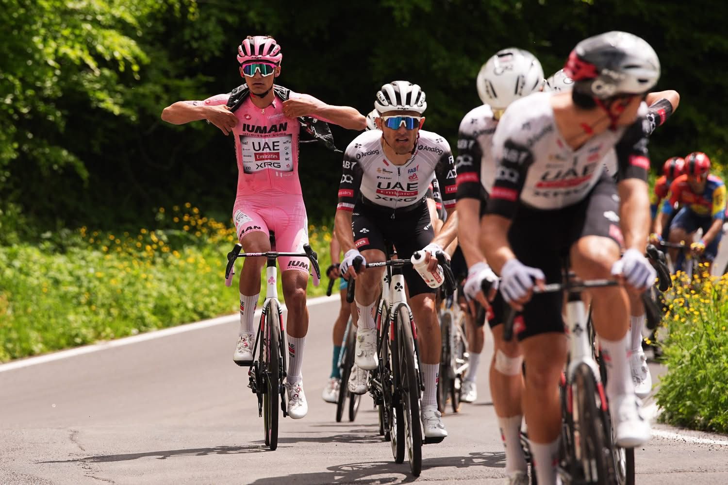 Carapaz torna a vincere al Giro, Del Toro consolida la maglia rosa. Fortunato re delle salite