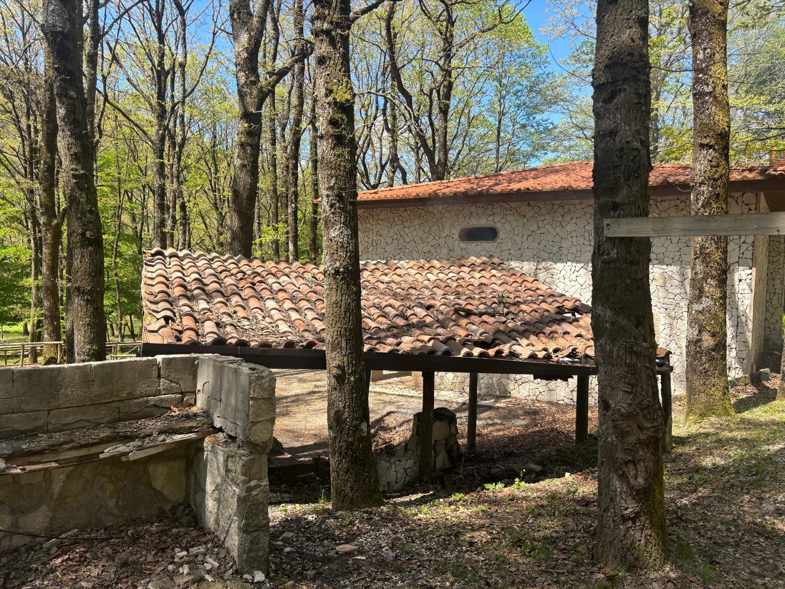 Mugnano del Cardinale: al via i lavori di pulizia e riqualificazione delle aree verdi comunali.(foto)