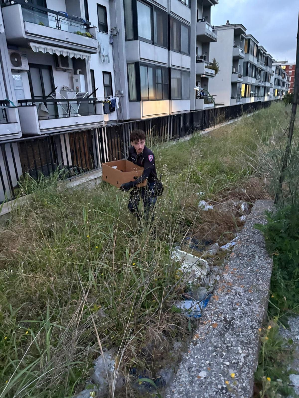 Pompei, cinque gattini abbandonati salvati dai vigili urbani: erano in un terreno isolato (FOTO)