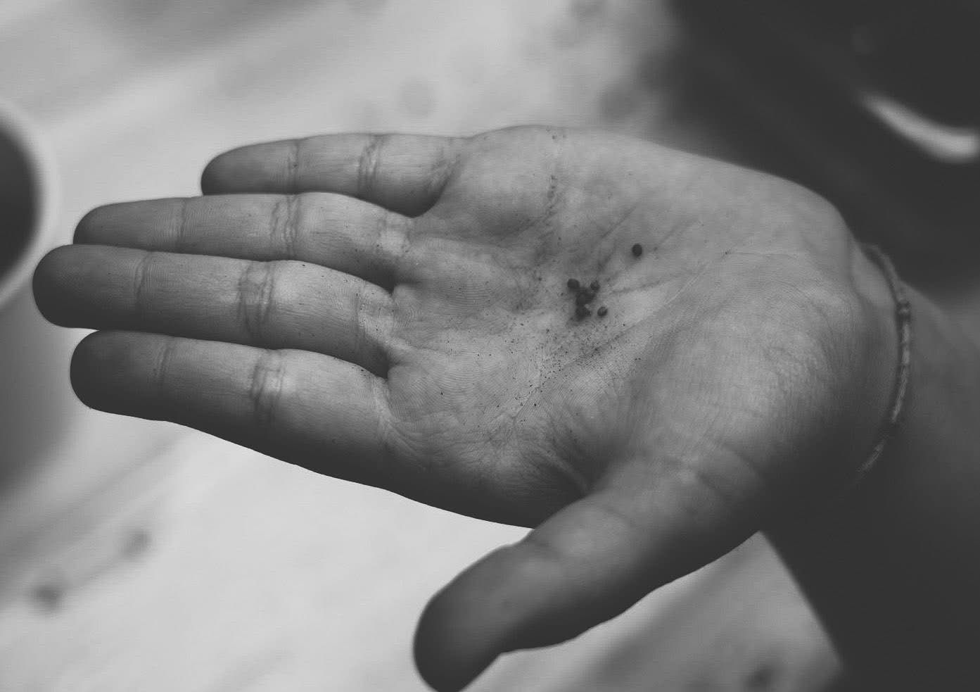 Sant’Anastasia, al plesso Boschetto si celebra il Giorno del Gioco tra natura, creatività e consapevolezza