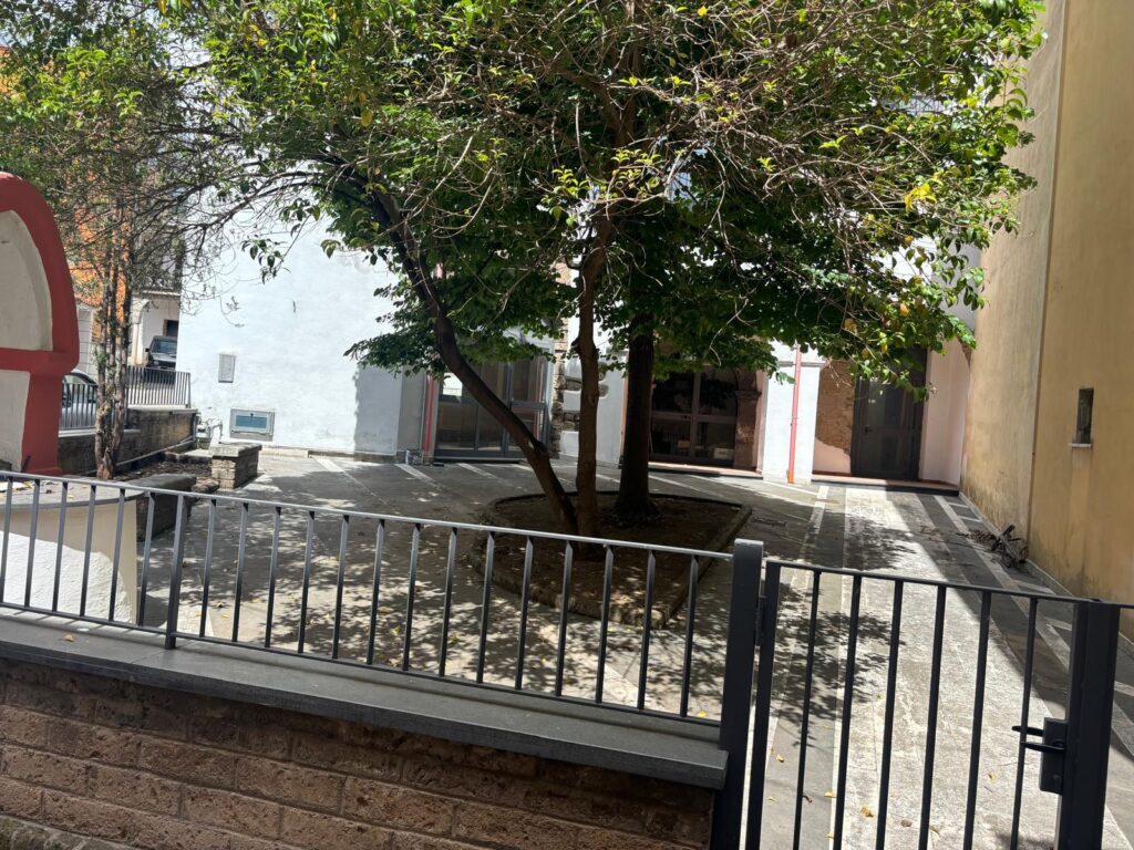 Pulizia straordinaria a Mugnano, l’assessore Litto:  «Chi sporca danneggia tutti».(Foto)