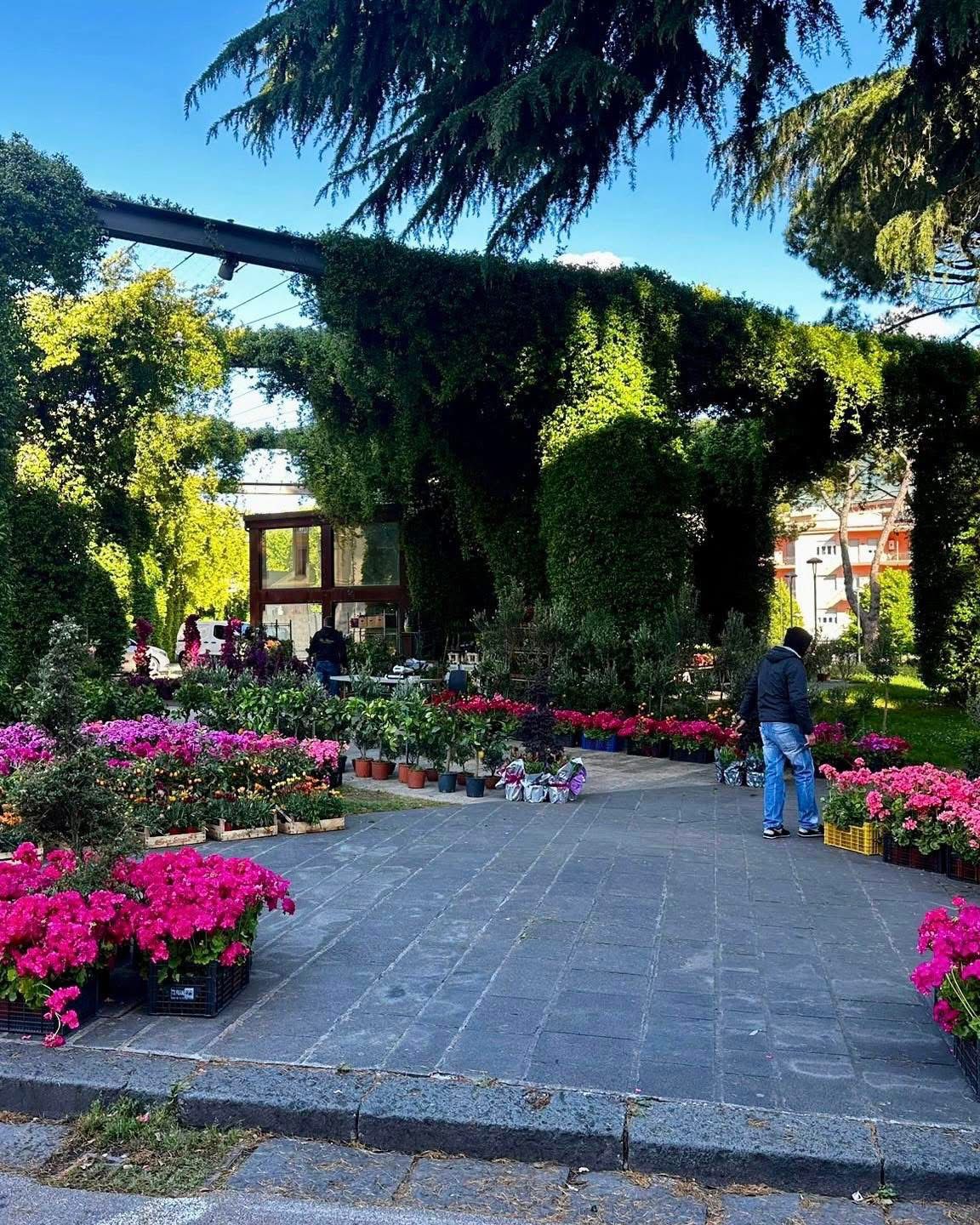 Avellino rifiorisce: piante e profumi in piazza Kennedy e piazza Garibaldi per celebrare la Primavera(Foto)
