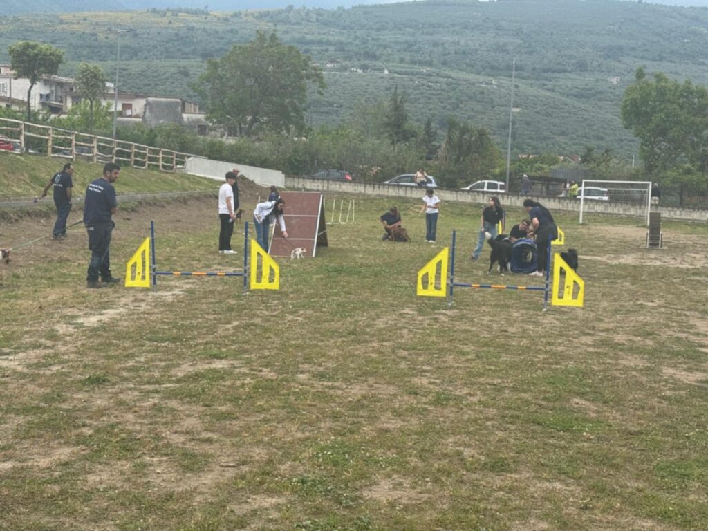 Avella, grande successo per la prima giornata di cultura cinofila al Parco San Pietro