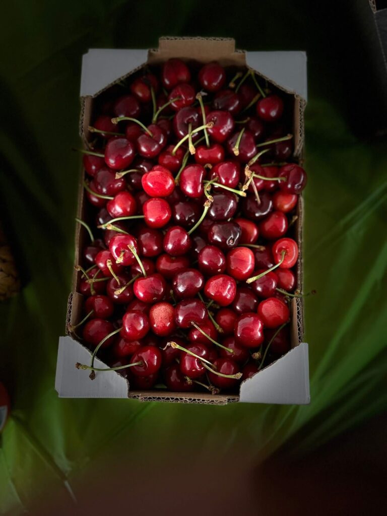 Somma Vesuviana, giornata tra scuole e cultura per il sindaco Di Sarno: “Un viaggio tra educazione, arte e crescita”(Foto)