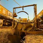 Montefalcione riscopre la Festa del Primo Maggio: un trionfo di tradizione, lavoro e comunità.(Foto)