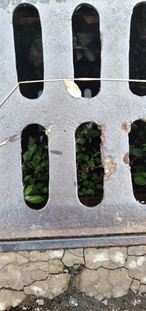 Forino (Av): Via Don Minzoni situazione tombini e buche nell asfalto