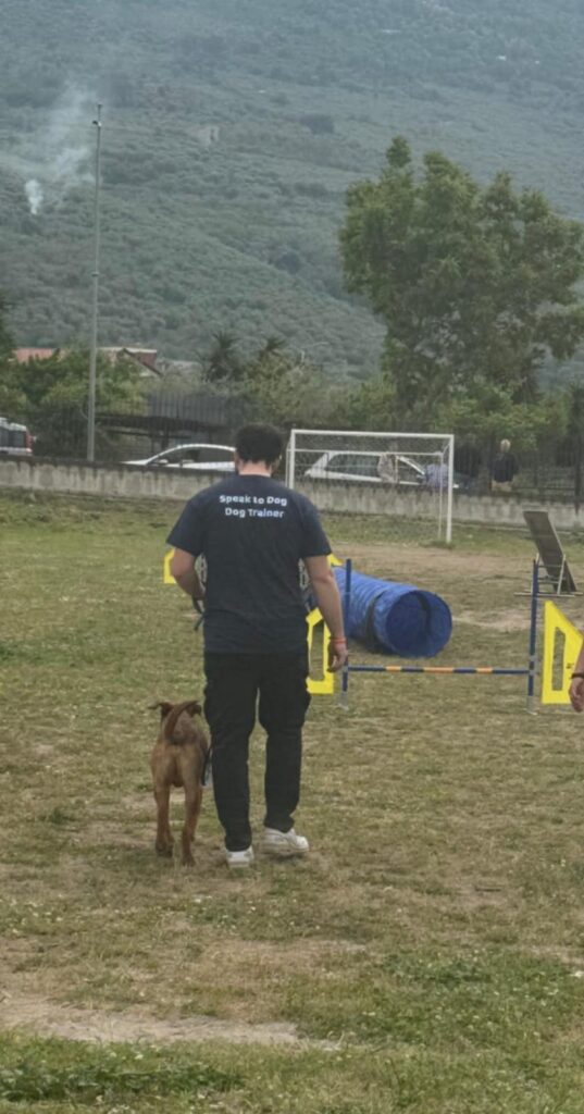Avella, grande successo per la prima giornata di cultura cinofila al Parco San Pietro