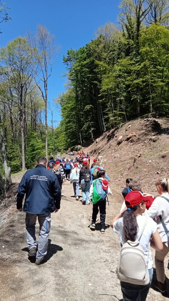 Il C.E.A. (Centro di Educazione Ambientale) della Comunità Montana Partenio – Vallo di Lauro fa il bis, con gli alunni dell’I.C. “Monsignor Pasquale Guerriero” di Avella. Il C.E.A. (Centro di Educazione Ambientale) della Comunità Montana Partenio – Vallo di Lauro fa il bis, con gli alunni dell’I.C. “Monsignor Pasquale Guerriero” di Avella.