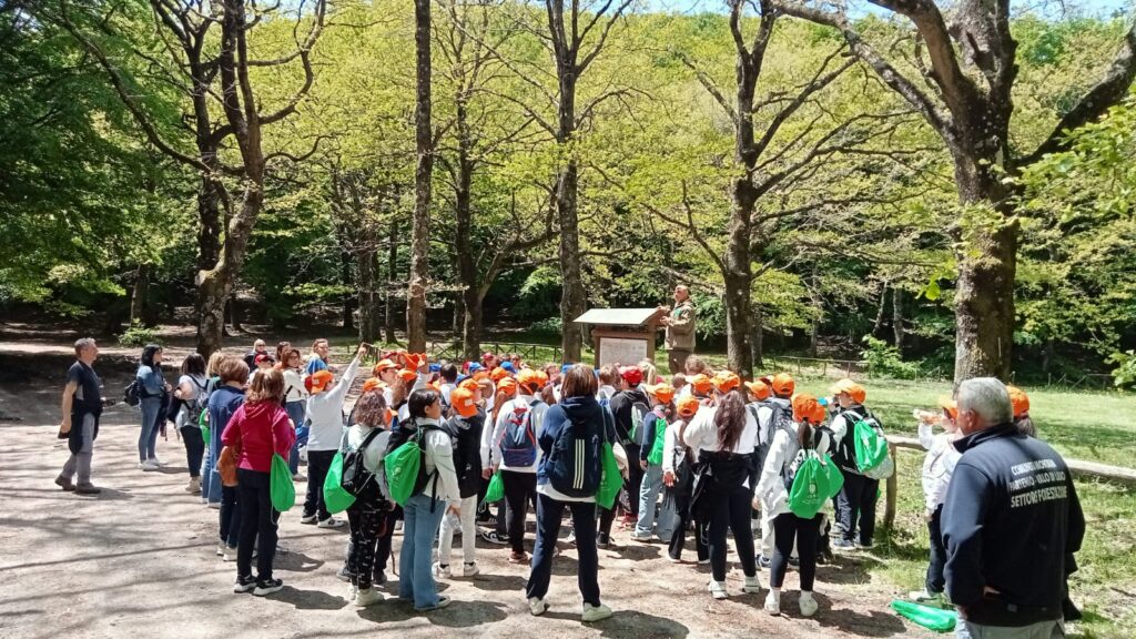 Il C.E.A. (Centro di Educazione Ambientale) della Comunità Montana Partenio – Vallo di Lauro fa il bis, con gli alunni dell’I.C. “Monsignor Pasquale Guerriero” di Avella. Il C.E.A. (Centro di Educazione Ambientale) della Comunità Montana Partenio – Vallo di Lauro fa il bis, con gli alunni dell’I.C. “Monsignor Pasquale Guerriero” di Avella.