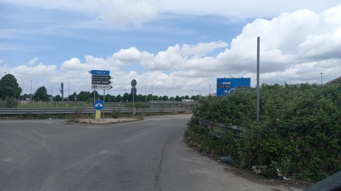 Immagine WhatsApp 2025-05-08 ore 15.07.27_a30fb9d8