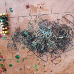 Fauna selvatica in gabbia e trappole nei boschi: intensificati i controlli contro la caccia illegale tra Napoli e Caserta