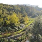 Parco del Fenestrelle, riparte l’iter per il rilancio: i sindaci uniti per una grande infrastruttura verde