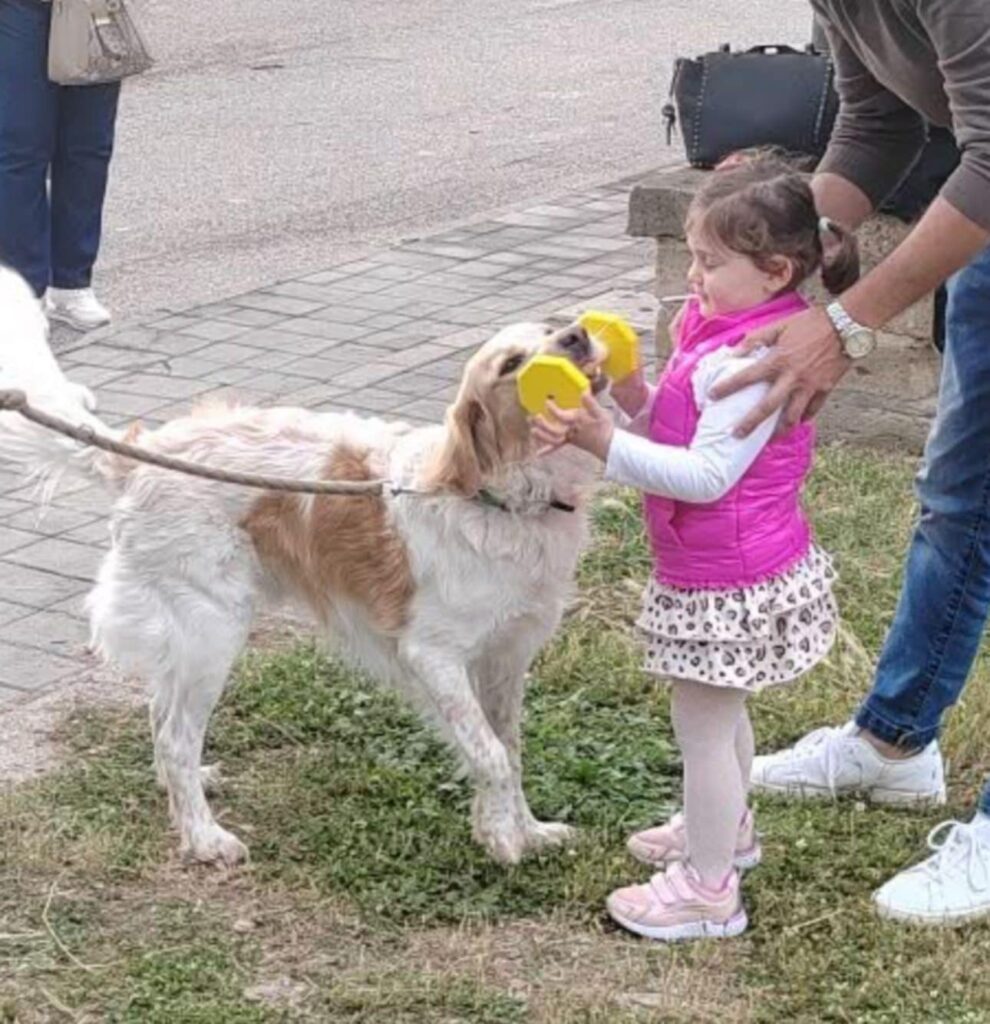Avella, grande successo per la prima giornata di cultura cinofila al Parco San Pietro