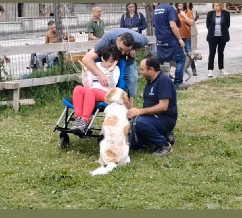 Avella, grande successo per la prima giornata di cultura cinofila al Parco San Pietro