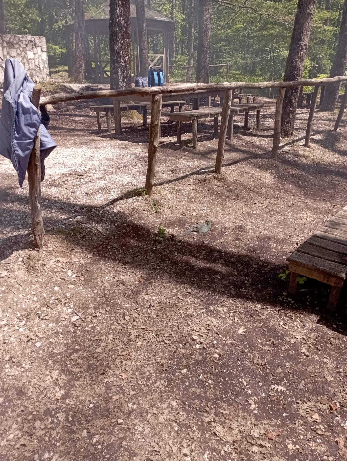 Mugnano del Cardinale: al via i lavori di pulizia e riqualificazione delle aree verdi comunali.(foto)