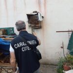 Fauna selvatica in gabbia e trappole nei boschi: intensificati i controlli contro la caccia illegale tra Napoli e Caserta