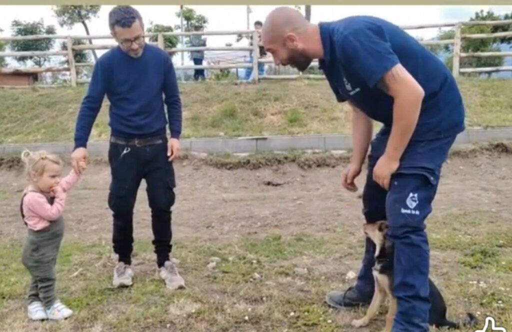 Avella, grande successo per la prima giornata di cultura cinofila al Parco San Pietro