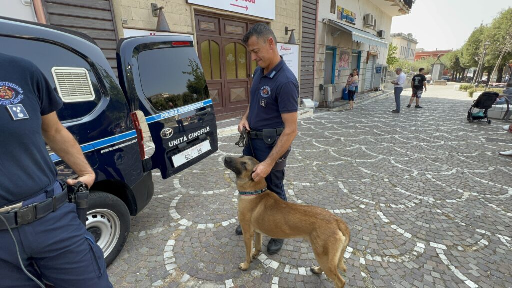 ROCCARAINOLA. Sport, Inclusione e Legalità: Grande Successo per la XV Edizione del Trofeo Morelli Silvati. VIDEO