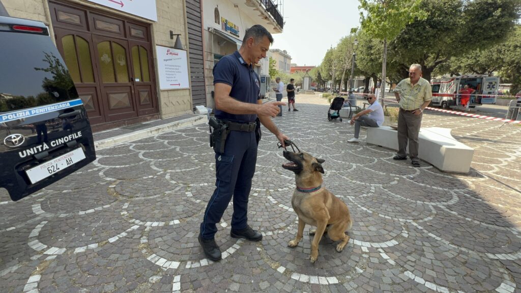 ROCCARAINOLA. Sport, Inclusione e Legalità: Grande Successo per la XV Edizione del Trofeo Morelli Silvati. VIDEO